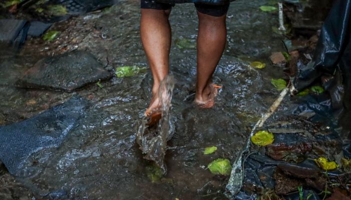 Número de mortes por leptospirose chega a 15 no Rio Grande do Sul